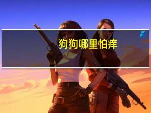 狗狗哪里怕痒