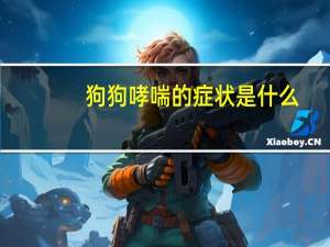 狗狗哮喘的症状是什么