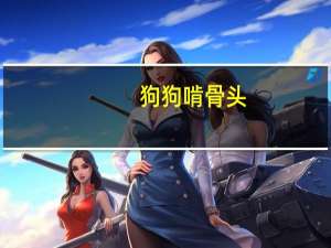 狗狗啃骨头