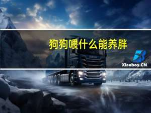 狗狗喂什么能养胖