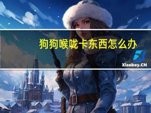 狗狗喉咙卡东西怎么办