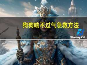 狗狗喘不过气急救方法