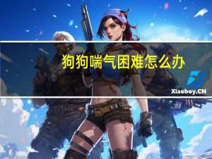 狗狗喘气困难怎么办