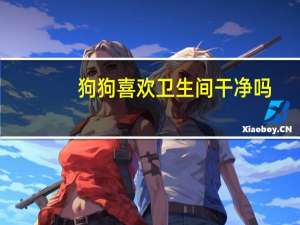 狗狗喜欢卫生间干净吗