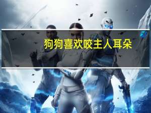 狗狗喜欢咬主人耳朵