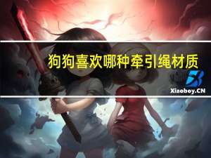 狗狗喜欢哪种牵引绳材质
