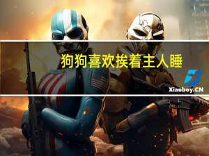 狗狗喜欢挨着主人睡