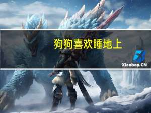 狗狗喜欢睡地上