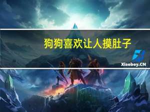 狗狗喜欢让人摸肚子