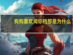 狗狗喜欢闻你裆部是为什么