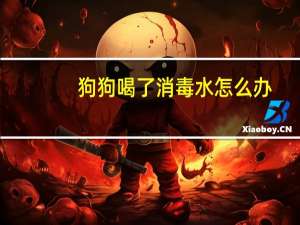 狗狗喝了消毒水怎么办