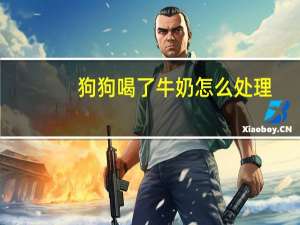 狗狗喝了牛奶怎么处理