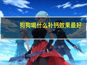 狗狗喝什么补钙效果最好
