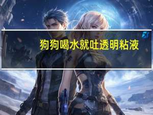 狗狗喝水就吐透明粘液