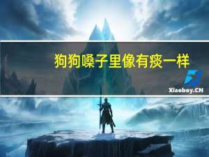 狗狗嗓子里像有痰一样