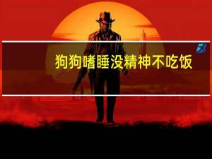 狗狗嗜睡没精神不吃饭