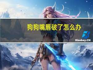 狗狗嘴唇破了怎么办