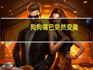 狗狗嘴巴突然变臭