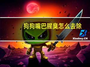 狗狗嘴巴腥臭怎么去除