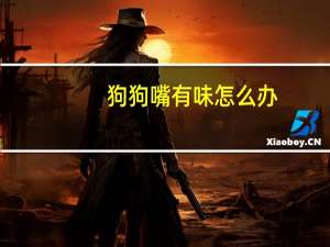 狗狗嘴有味怎么办