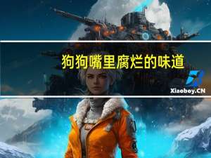 狗狗嘴里腐烂的味道