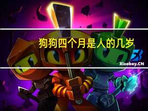 狗狗四个月是人的几岁