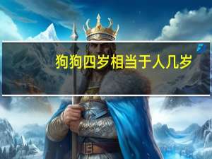 狗狗四岁相当于人几岁
