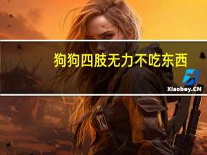 狗狗四肢无力不吃东西