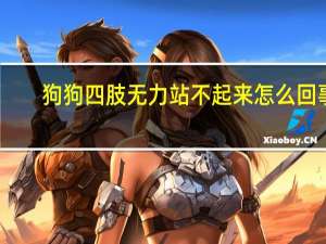 狗狗四肢无力站不起来怎么回事