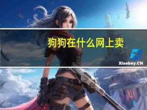狗狗在什么网上卖