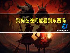 狗狗在晚间能看到东西吗