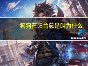 狗狗在阳台总是叫为什么