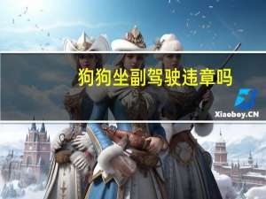 狗狗坐副驾驶违章吗