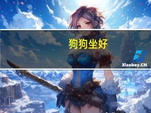 狗狗坐好