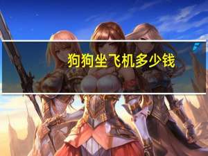 狗狗坐飞机多少钱