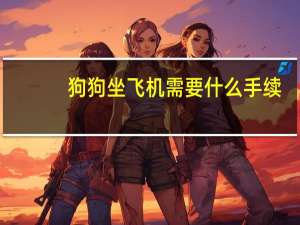 狗狗坐飞机需要什么手续