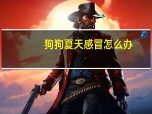 狗狗夏天感冒怎么办