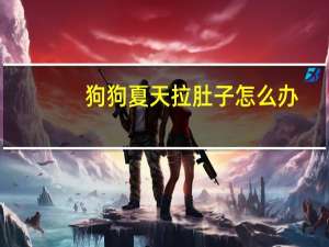 狗狗夏天拉肚子怎么办