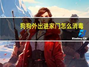 狗狗外出进家门怎么消毒