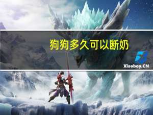 狗狗多久可以断奶