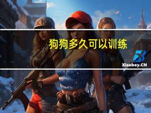 狗狗多久可以训练