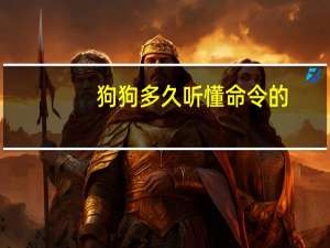 狗狗多久听懂命令的