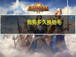 狗狗多久换胎毛