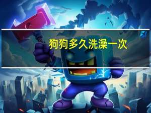 狗狗多久洗澡一次