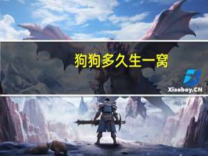 狗狗多久生一窝