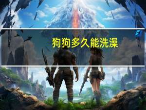 狗狗多久能洗澡
