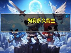 狗狗多久能生