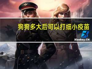 狗狗多大后可以打细小疫苗