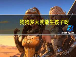狗狗多大就能生孩子呀