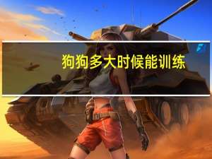 狗狗多大时候能训练